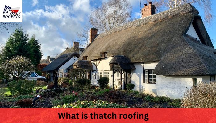 What is Thatch Roofing