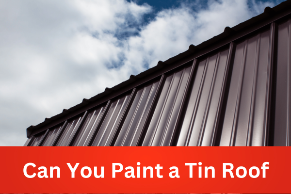 can you paint a tin roof
