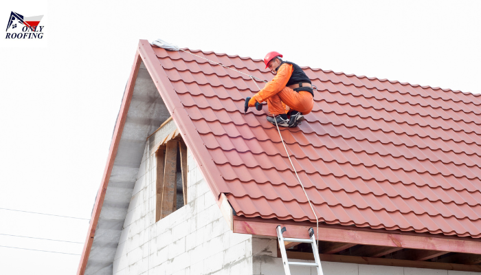 What Is a Brown Roof