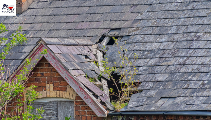 How to fix hole in roof from tree?