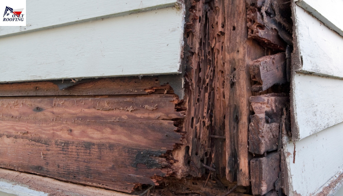 How to Repair Rotted Wood Siding